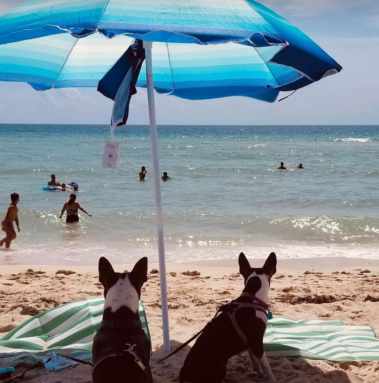 Miami Beach Apartment With Private Patio Free Parking Family Friendly No Pet Fee 외부 사진